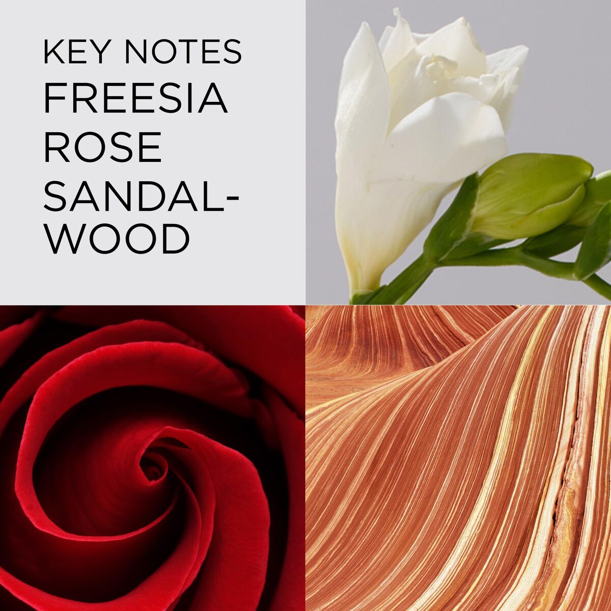 V1H7BA3A0017F385980E9DE8C74DF5FE94DRP6