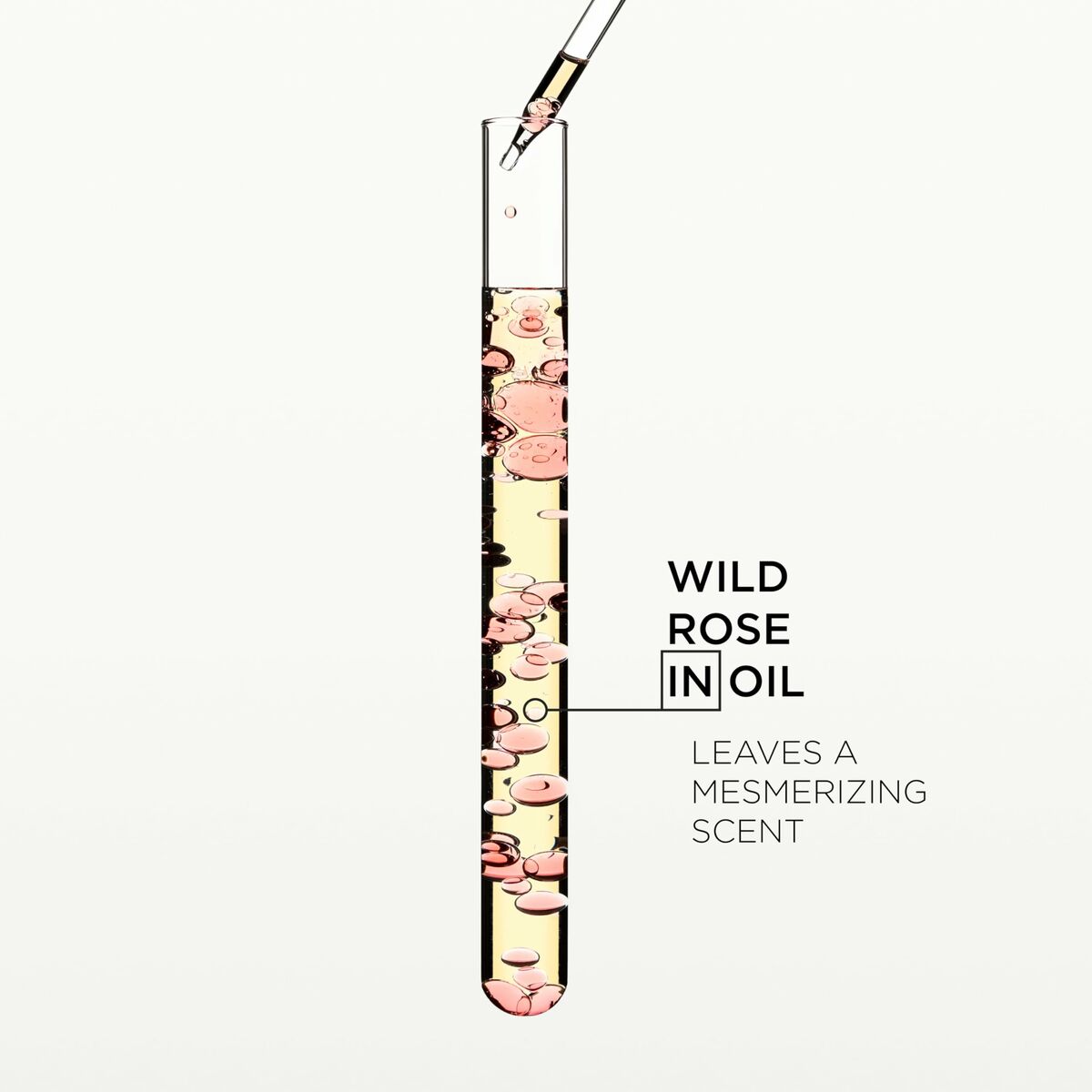 V4HCE9D7B859BAFB71F187861A6ED3F14B8R6442913P8